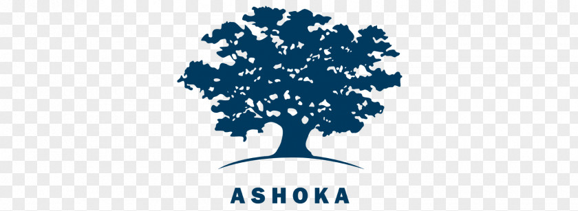 Ashoka Ashoka: Innovators For The Public Organization Entrepreneurship Innovation Non-profit Organisation PNG