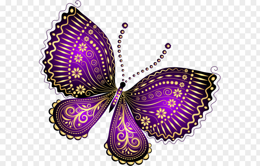 Butterfly Circle Painting Art Drawing Clip PNG