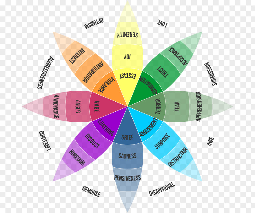 Different Emotions List Emotion Color Theory Wheel Teoria Emocji Plutchika PNG