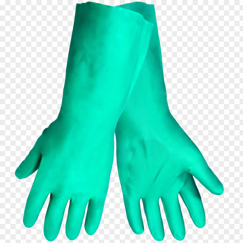 Hand Finger Model Medical Glove PNG