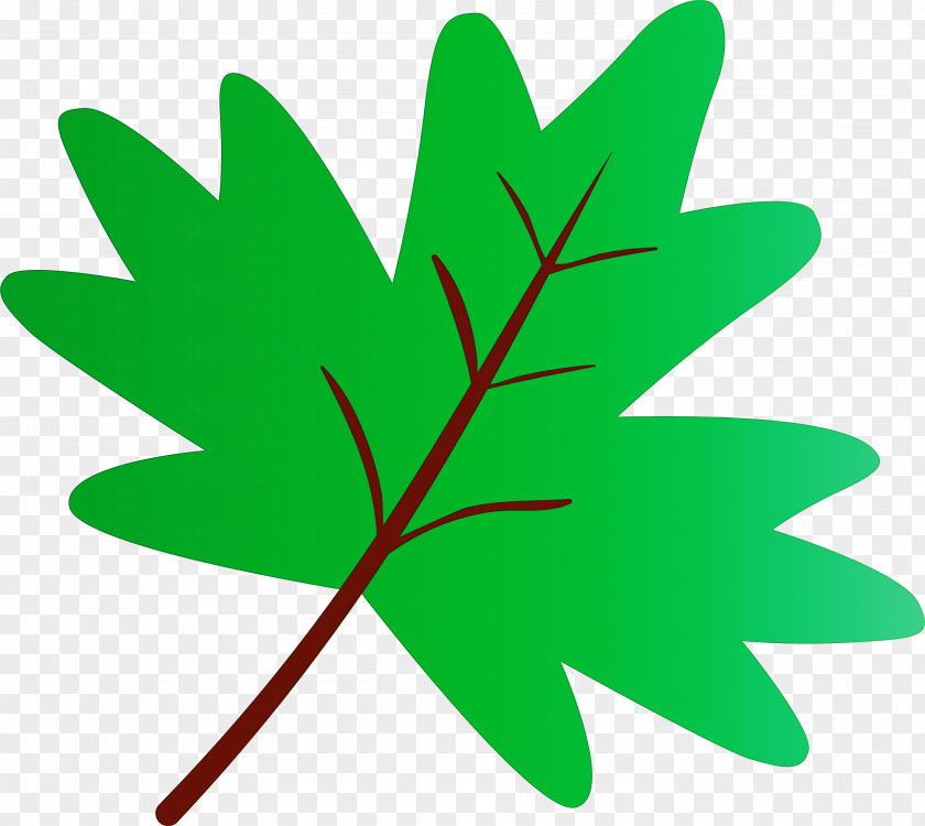 Maple Leaf PNG