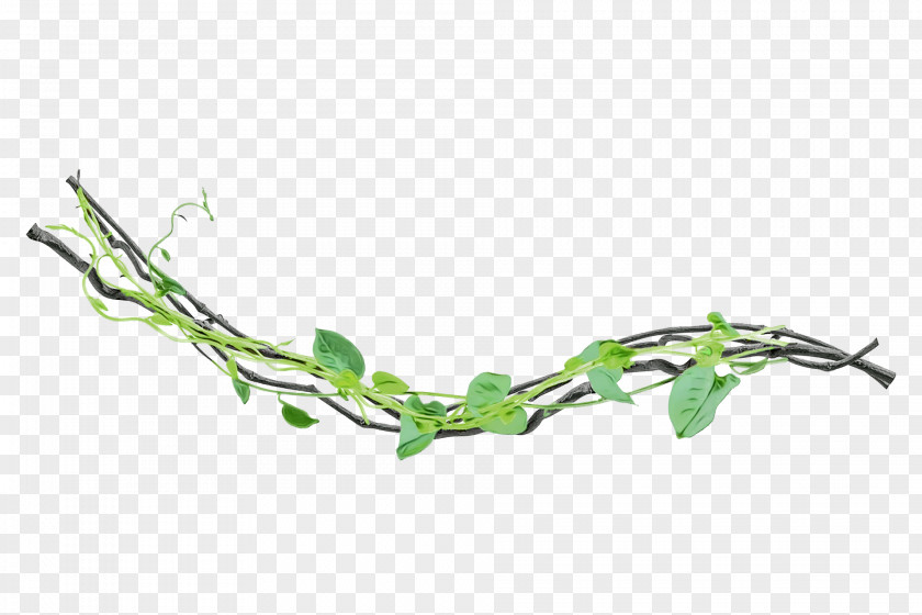 Plant Stem Twig Leaf Plants Structure PNG