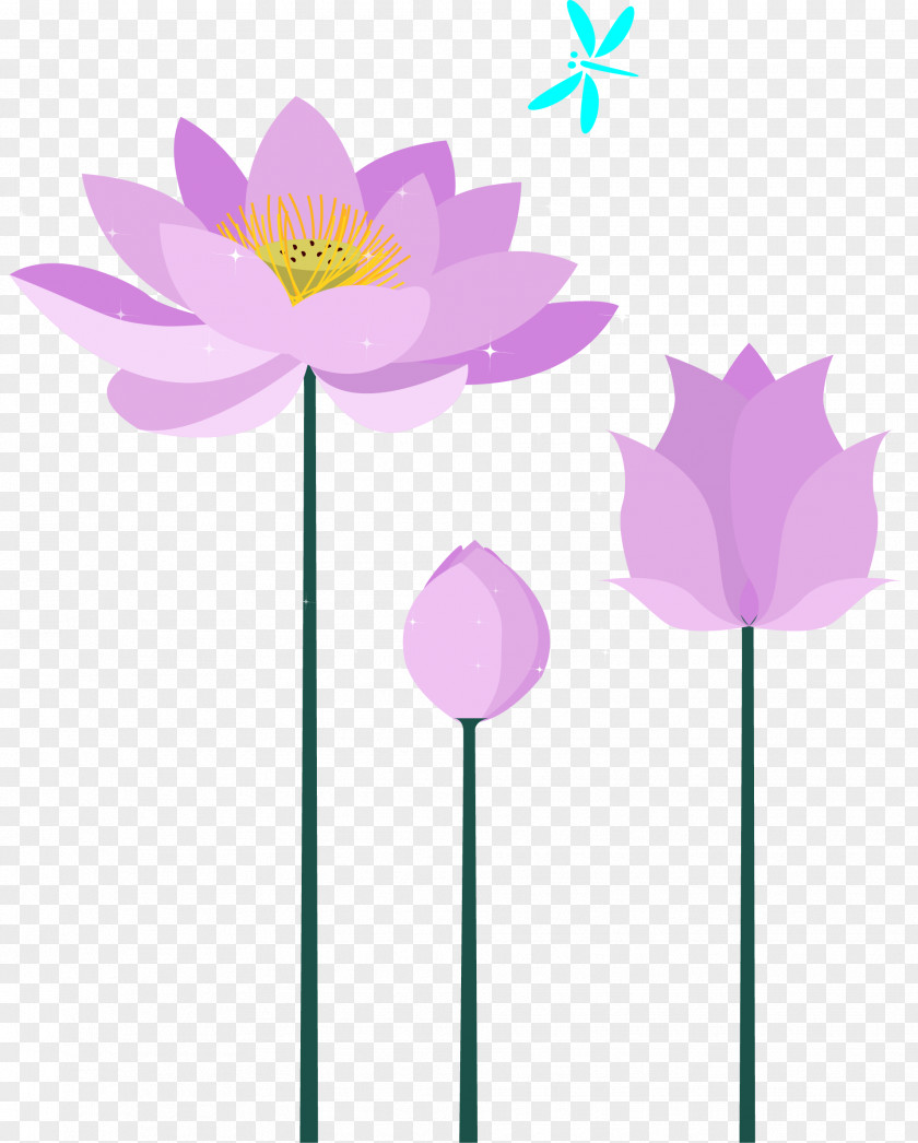 Purple Lotus PNG