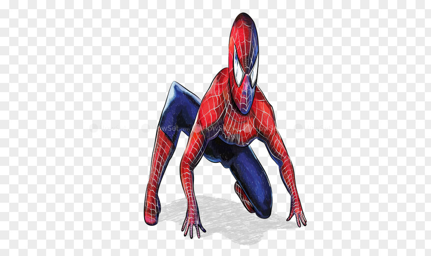 Spider-man Spider-Man Paper Superhero Drawing PNG