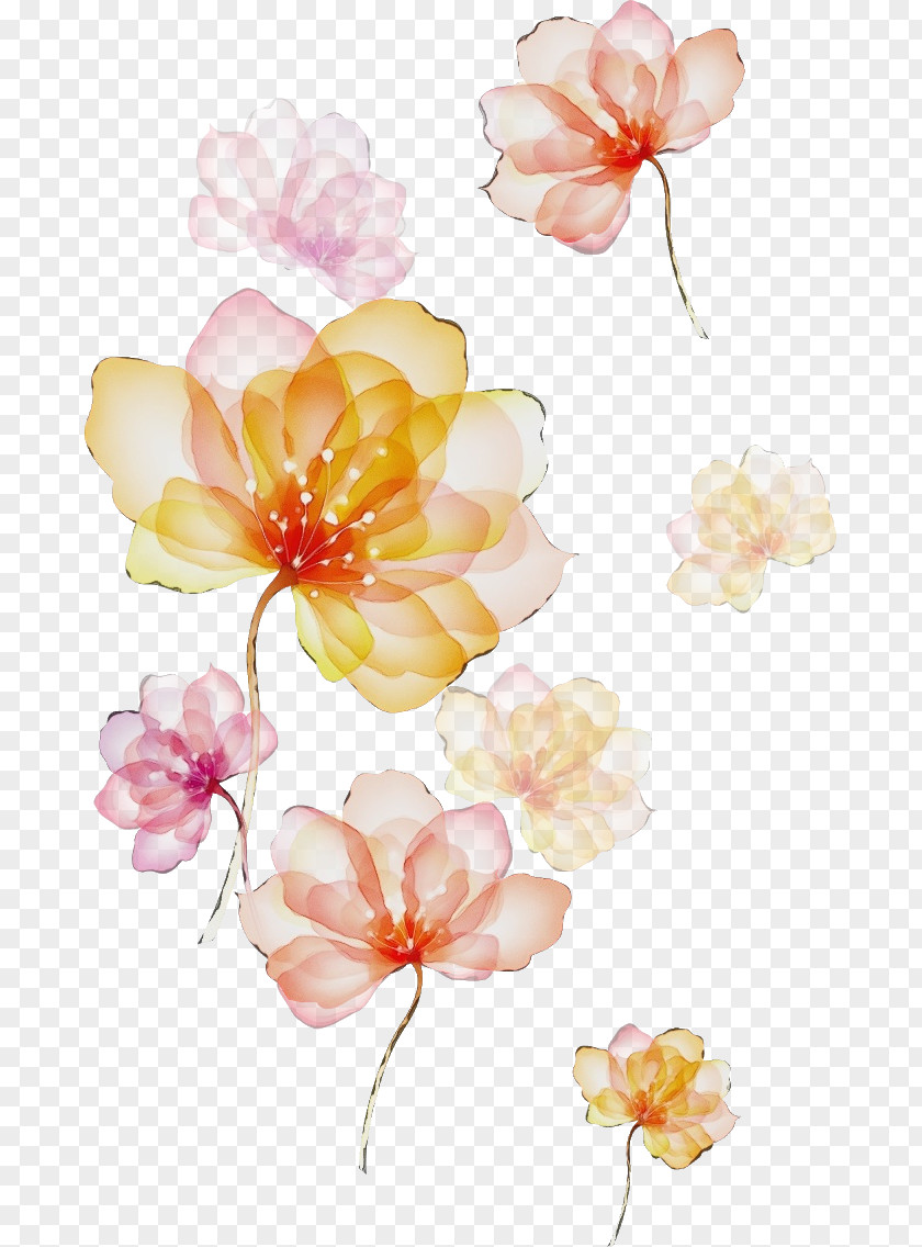 Cut Flowers Blossom Petal Flower Pink Watercolor Paint Plant PNG