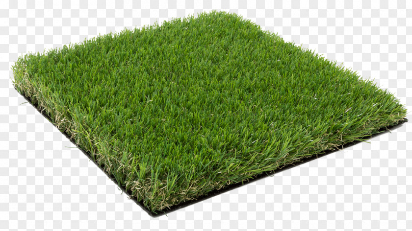 Grass Artificial Turf Lawn Garden Plastic PNG