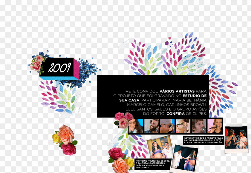Ivete Sangalo Multishow Ao Vivo: 20 Anos Brand Logo Advertising PNG