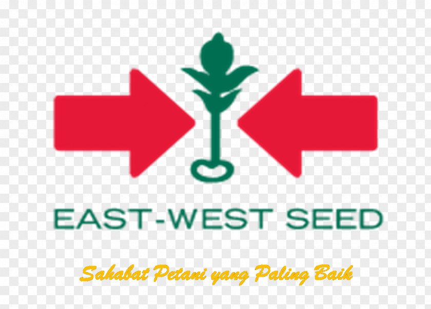 Kangkung - East-West Seed East West Seeds India Private Limited Aurangabad Company, Inc. PNG