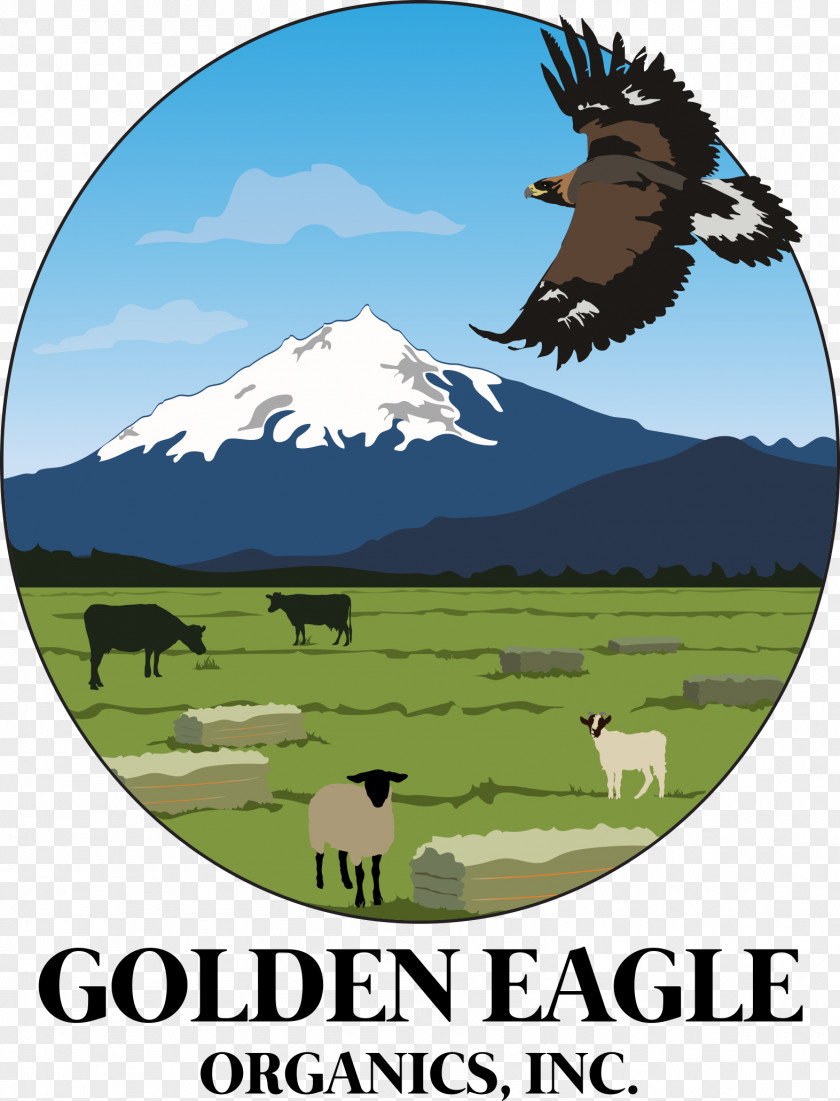 Lamb Golden Eagle Organics, Inc. Hay Cattle Organic Food Goat Meat PNG