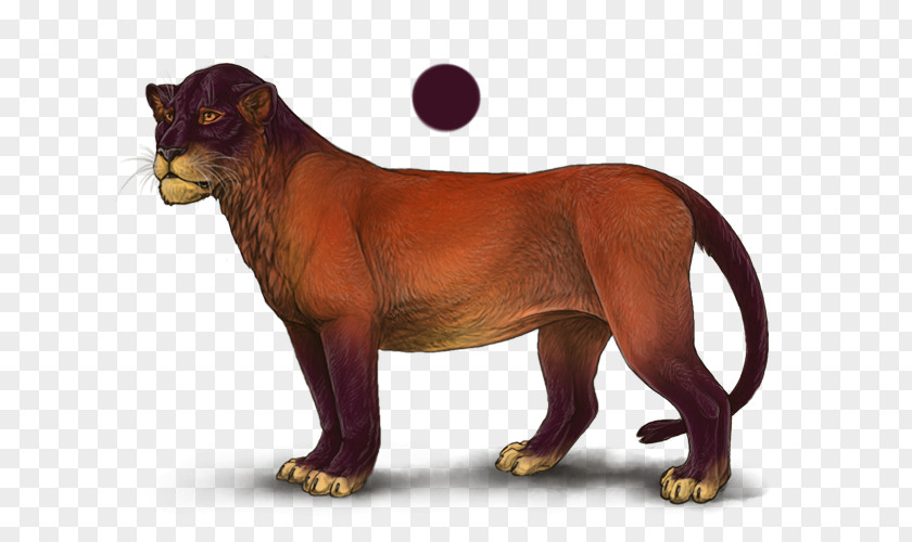 Lion Felidae Panther Horse Cat PNG