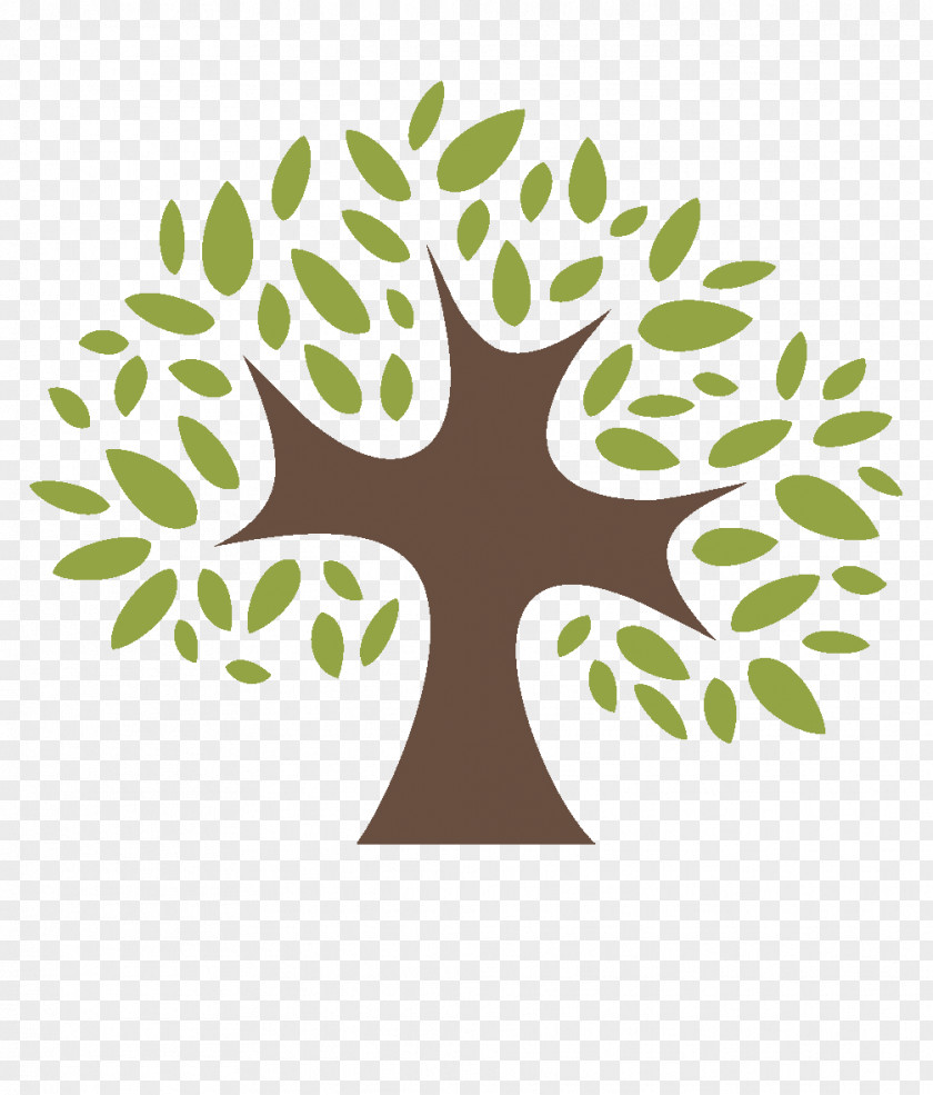Logo Visual Arts Green Leaf Tree Plant Font PNG