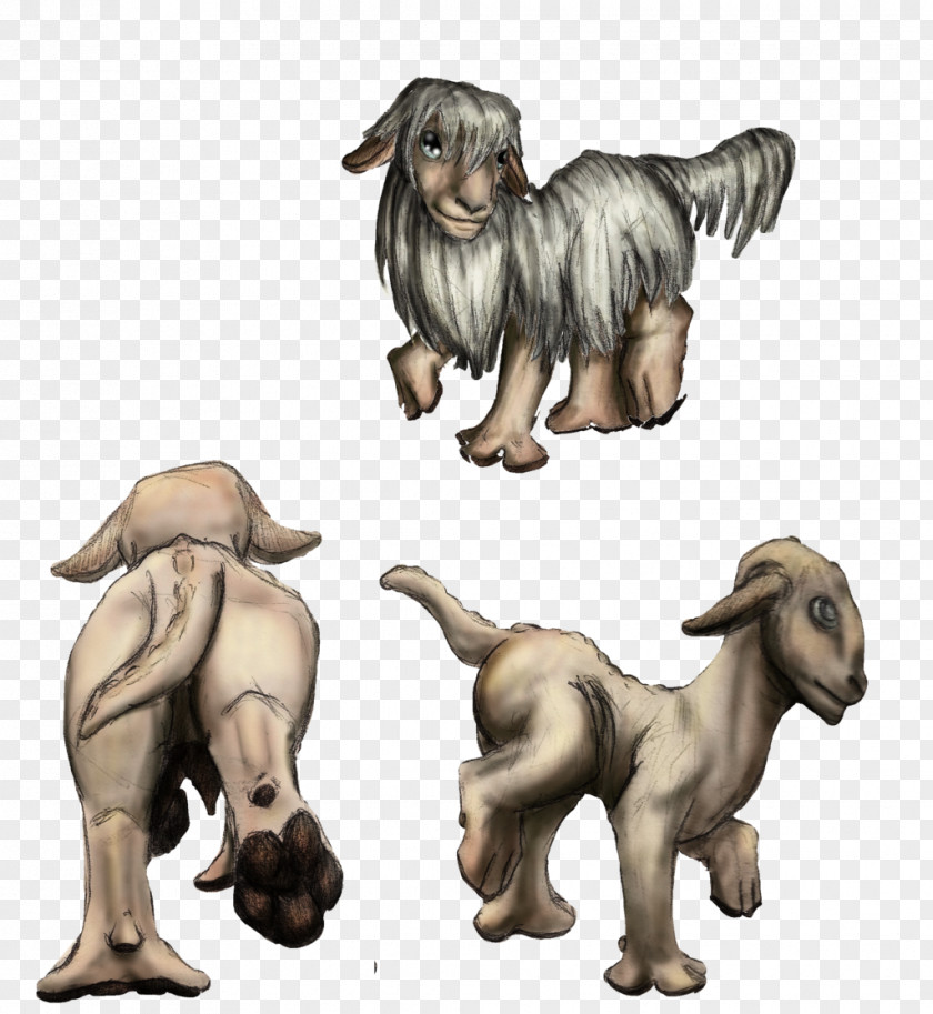 Sheep Dog Breed Cattle Goat PNG