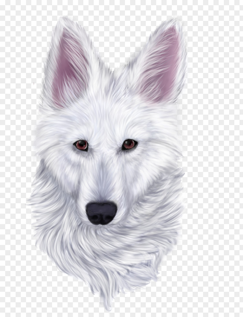 Sheperd West Highland White Terrier Shepherd Canadian Eskimo Dog Berger Blanc Suisse Samoyed PNG