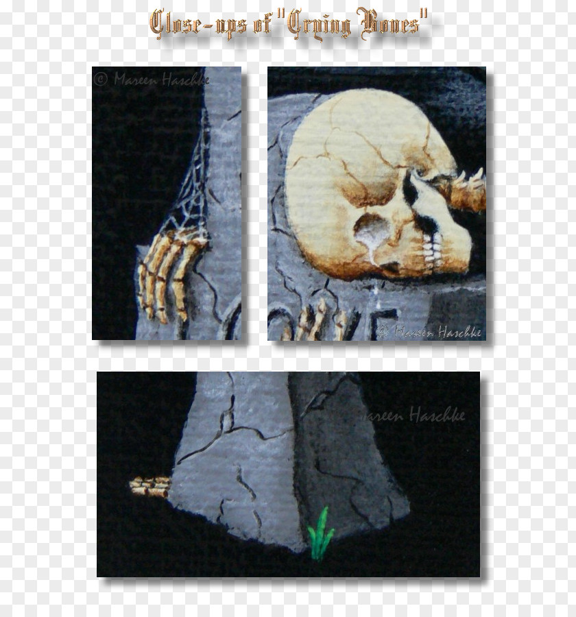 Skeleton Printing Text Fauna Painting Organism Bone PNG