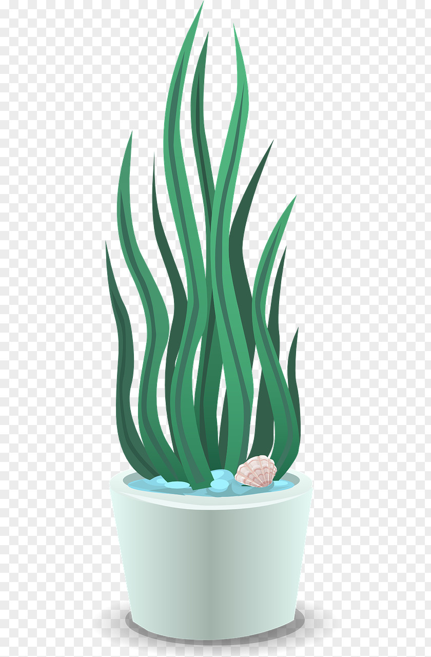 Soft Plants Plant Dehumidifier PNG