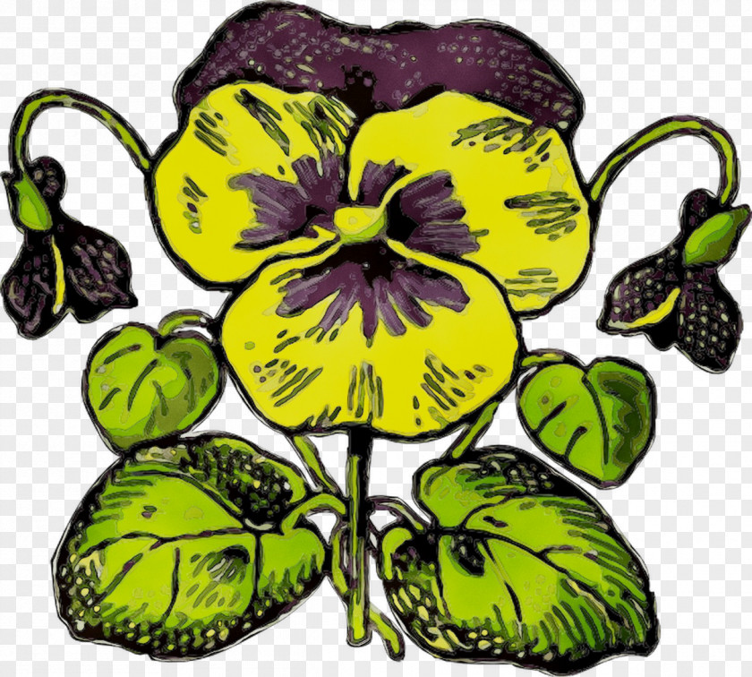 Pansy Clip Art Yellow Plant Stem Leaf PNG