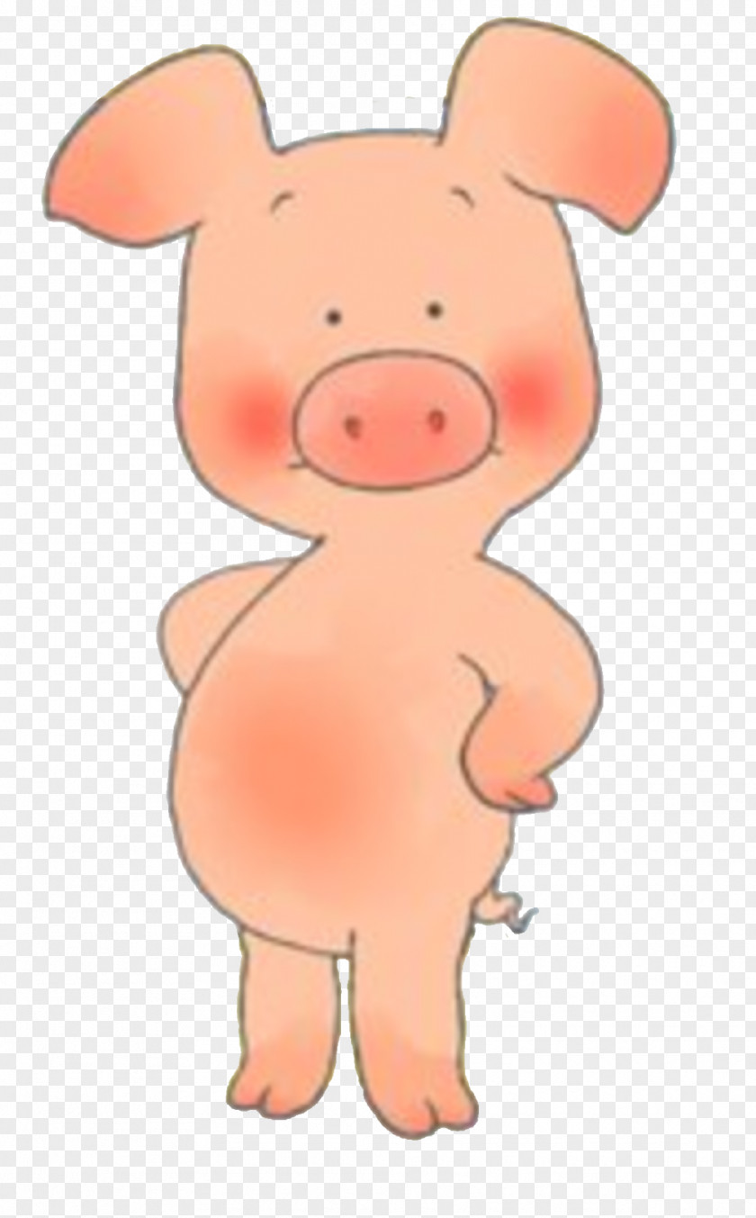 Pig Wibbly Kipper The Dog Pig's Cousin Arnold Ziffel PNG