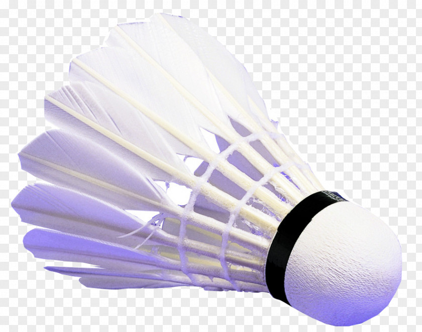 A Badminton BWF World Junior Championships Shuttlecock Racket Illinois Fighting Illini Women's Basketball PNG