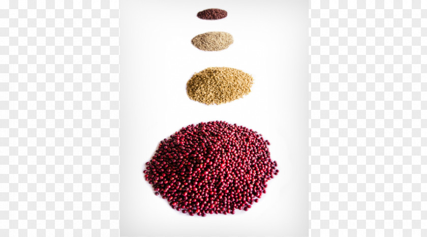 Cofee Beans Product Superfood PNG
