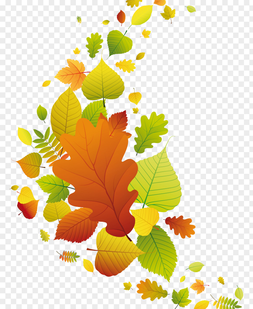Fall Autumn Desktop Wallpaper Blog Clip Art PNG
