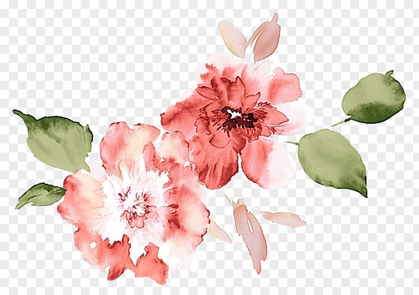 Flower Watercolour Flowers Watercolor Painting Poppy Watercolor: PNG
