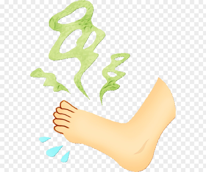Leg Foot Sole Toe Human Body PNG