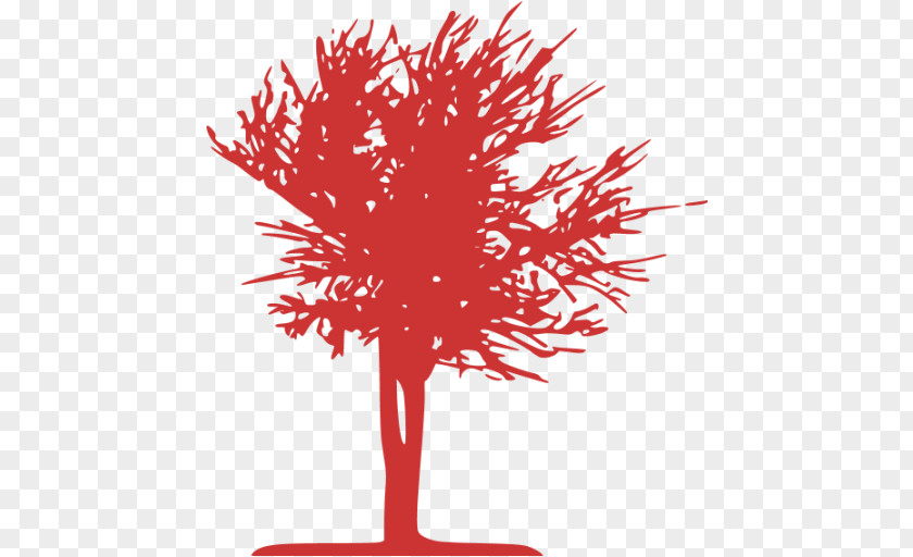 Silhouette Tree Image PNG