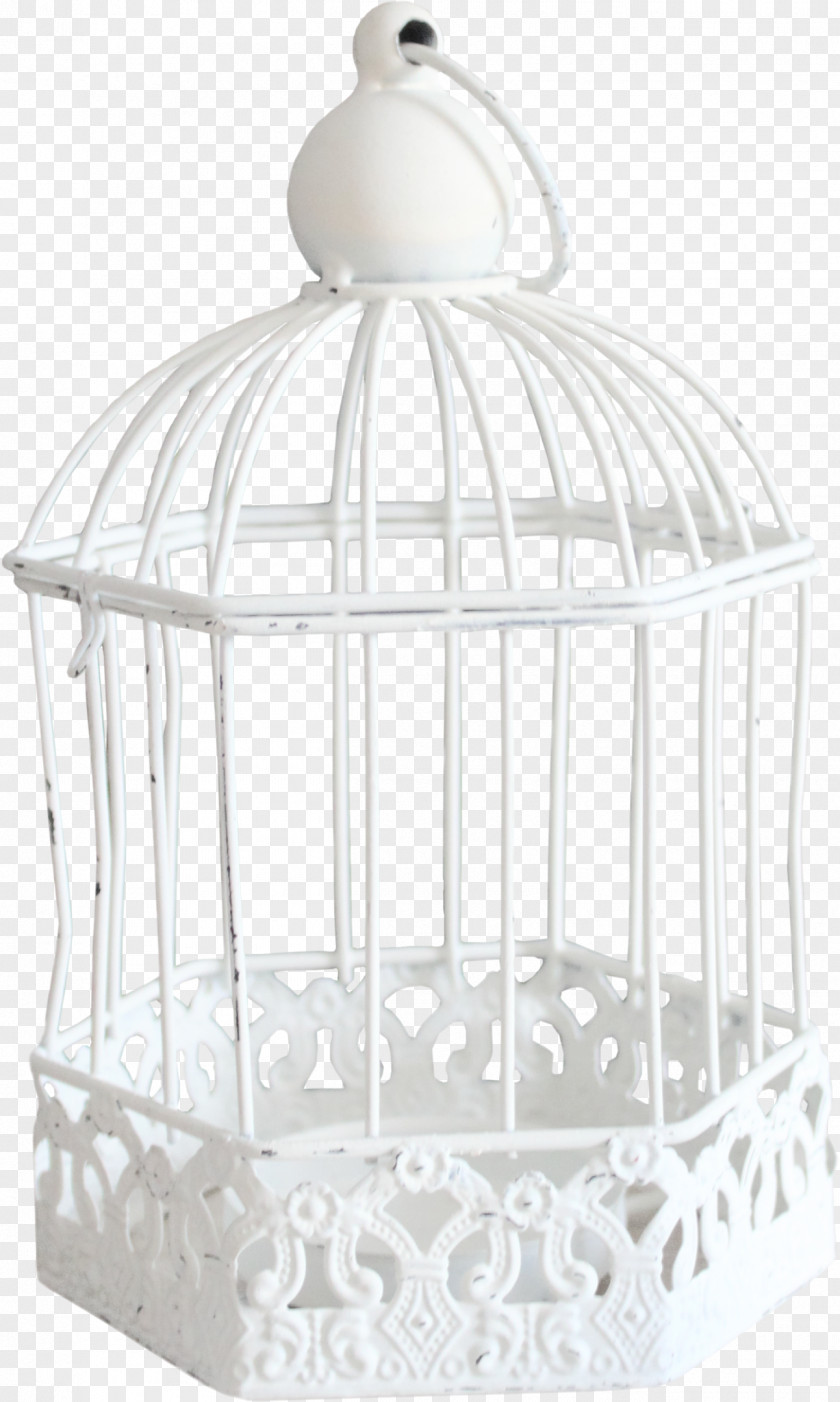 Bird Cage Birdcage Cell PNG
