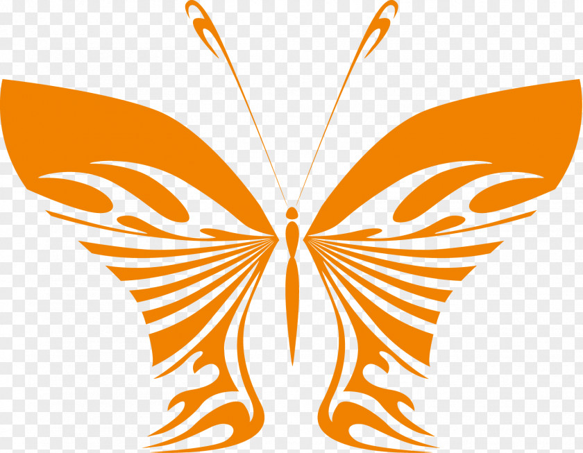 Butterfly Clip Art PNG