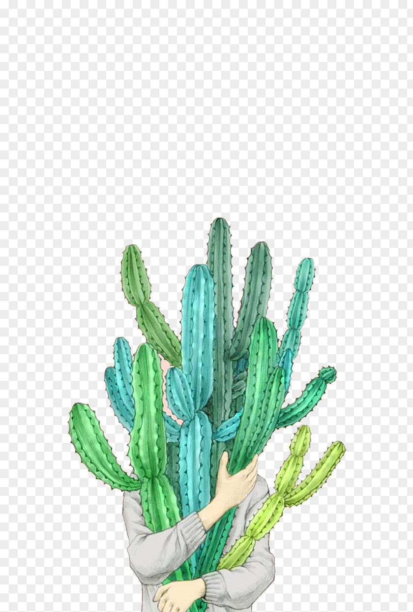 Cactus Taobao Tmall Cactaceae Illustration PNG