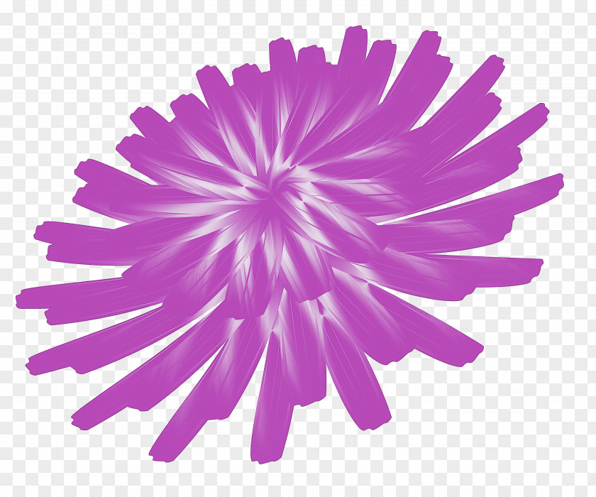 Dandelion Flower PNG