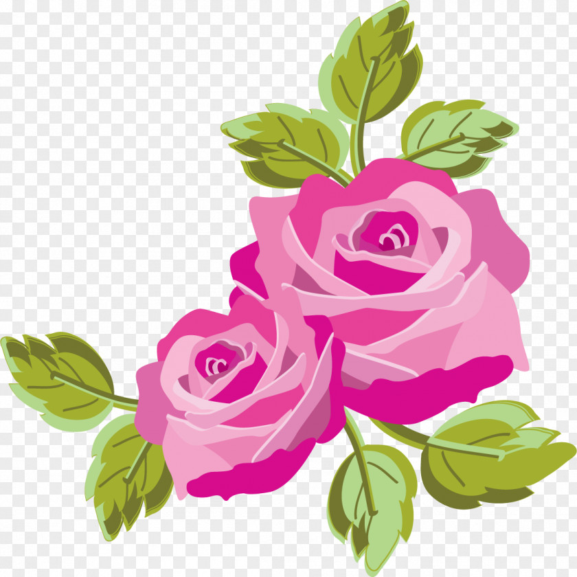 Design Garden Roses Cabbage Rose Clip Art PNG
