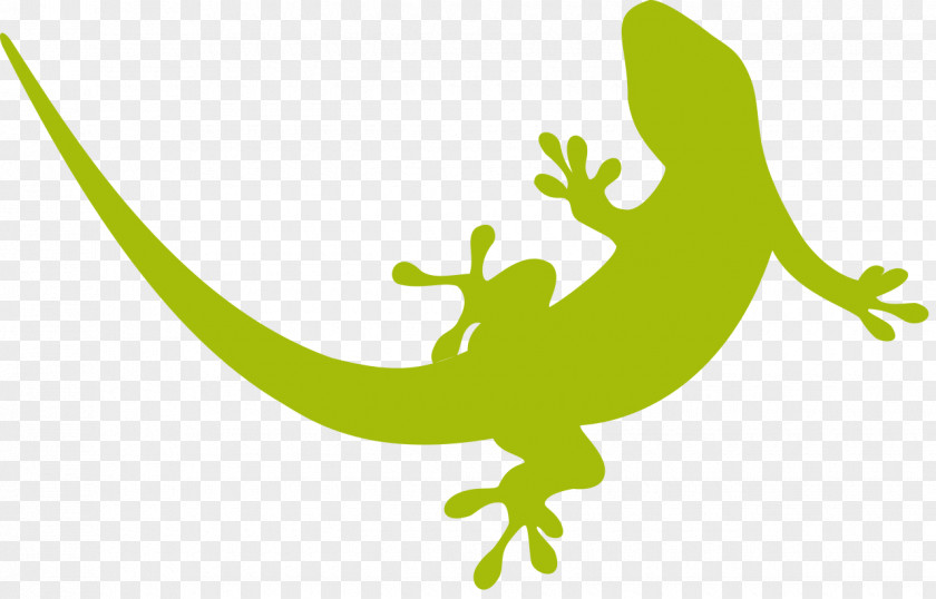 Lizard Gecko Exotic Pet Cecak Clip Art PNG