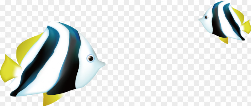 Color Fish Clip Art PNG