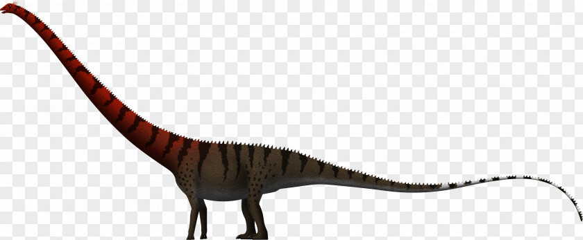 Dinosaur Barosaurus Dinheirosaurus Amphicoelias Supersaurus Size PNG