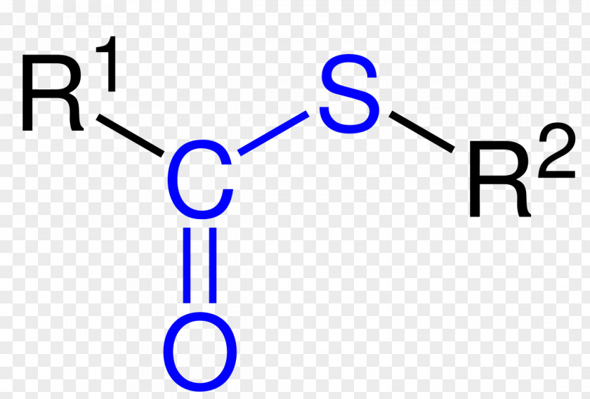 Malonylcoa Dimethyl Sulfoxide Methylsulfonylmethane Methyl Group Functional Sulfide PNG