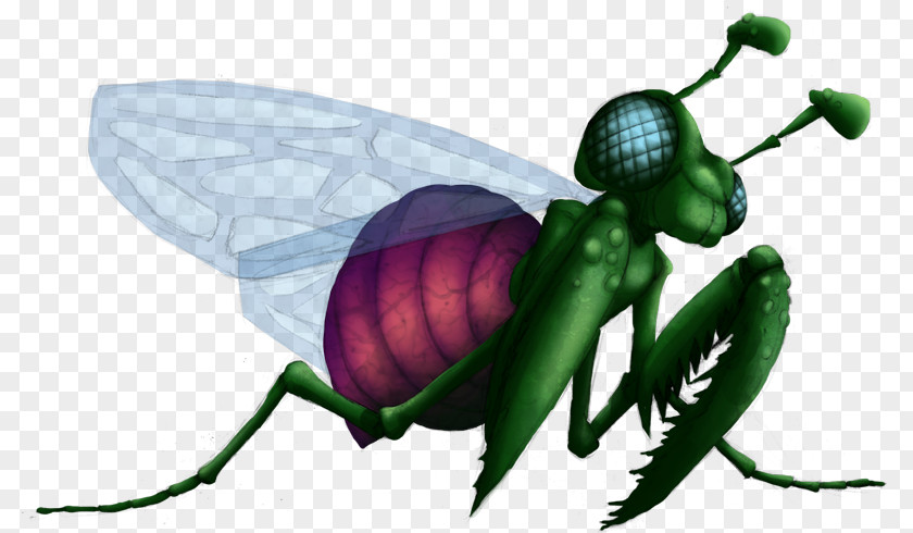 Metroid Fusion Map Clip Art Illustration Insect Wing Pollinator PNG