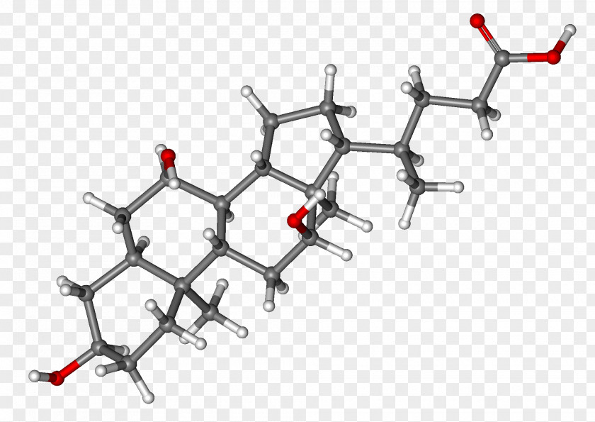 Taurocholic Acid Bile Ball-and-stick Model PNG