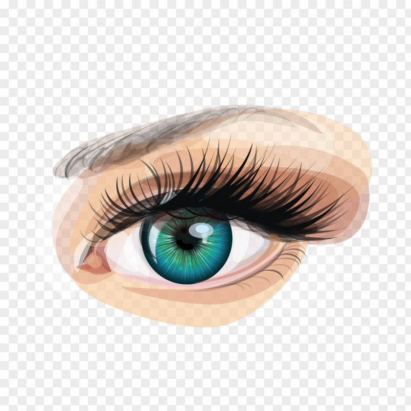 Vector Hand-painted Eyes Human Eye Euclidean Clip Art PNG