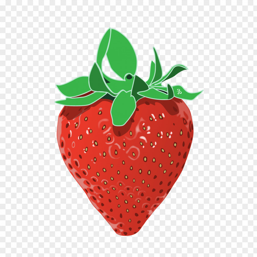 Vector Realistic Delicious Strawberry Aedmaasikas Stock Photography Illustration PNG