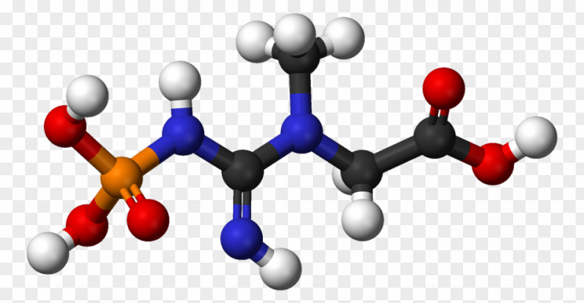 4-Hydroxybenzoic Acid Cinnamic Salicylic PNG