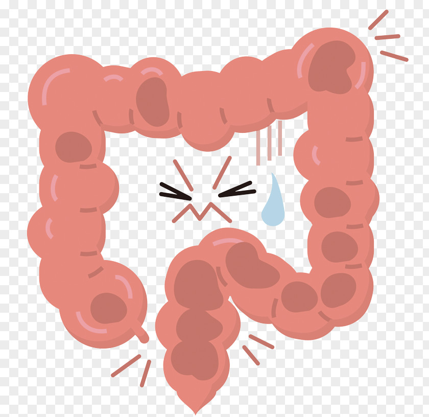 Aonori Colon Large Intestine Irritable Bowel Syndrome Constipation Health Diarrhea PNG