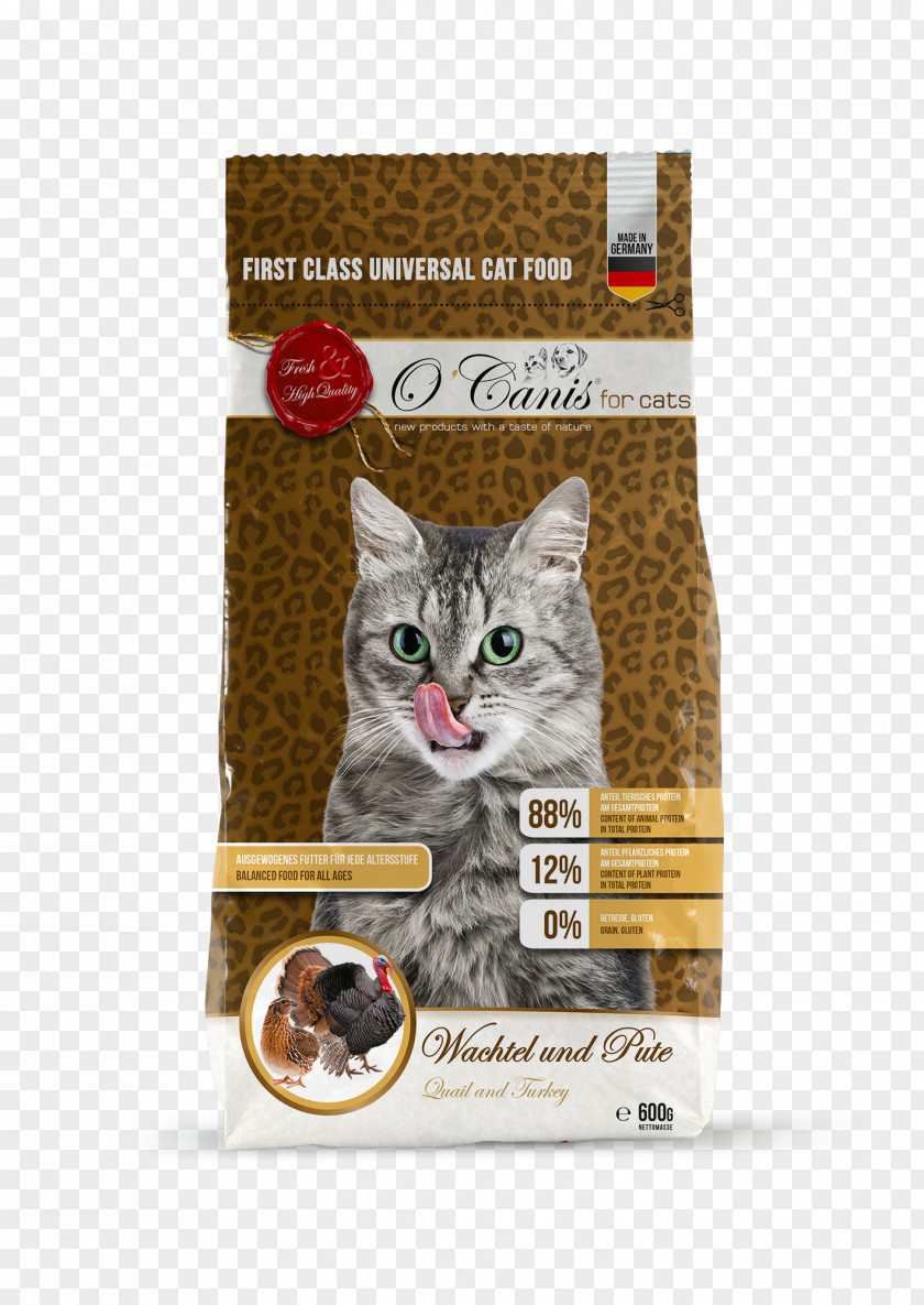 Cat Food Whiskers Kitten Ocanis Deutschland GmbH PNG