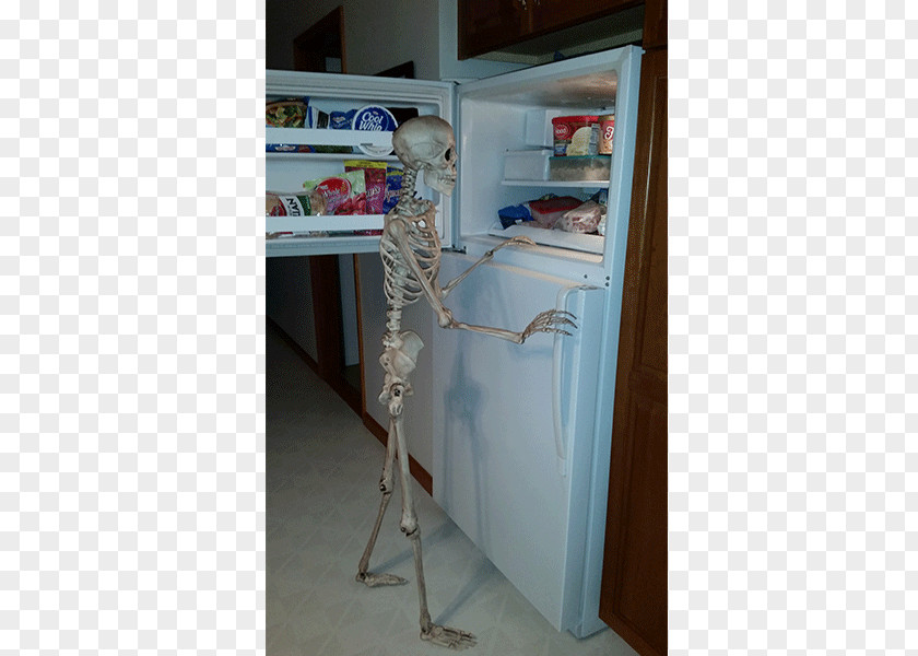 Closet Shelf Refrigerator Angle Skeleton PNG