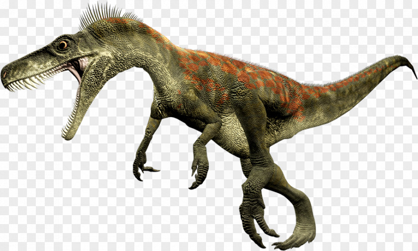 Dinosaur Herrerasaurus Staurikosaurus Theropods Eoraptor Lunensis Size PNG