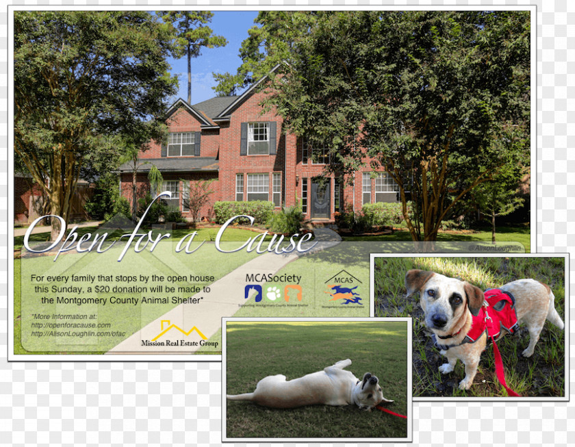 Dog Breed Backyard Property Advertising PNG
