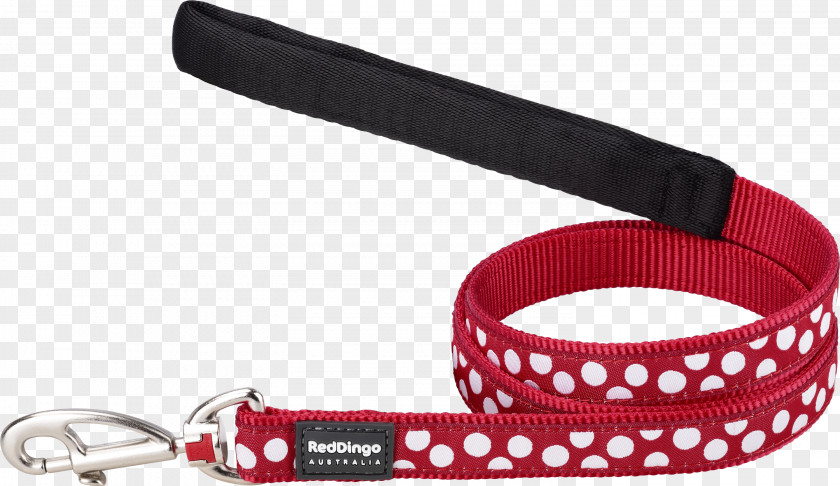 Dog Leash Collar Dingo PNG