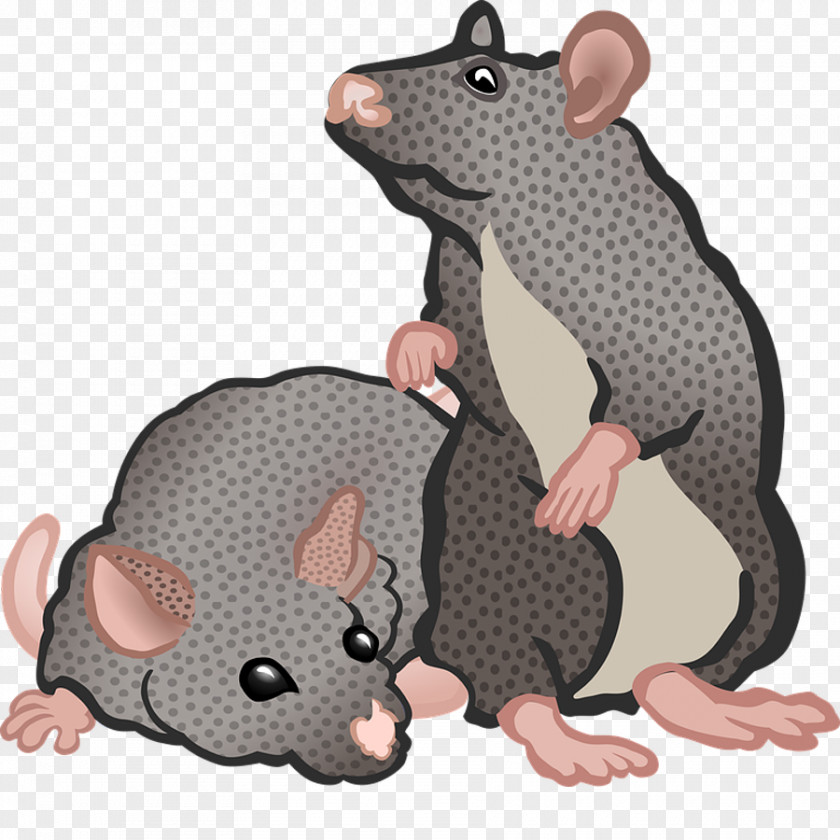 FIG Mouse Family Computer Rodent Black Rat Clip Art PNG