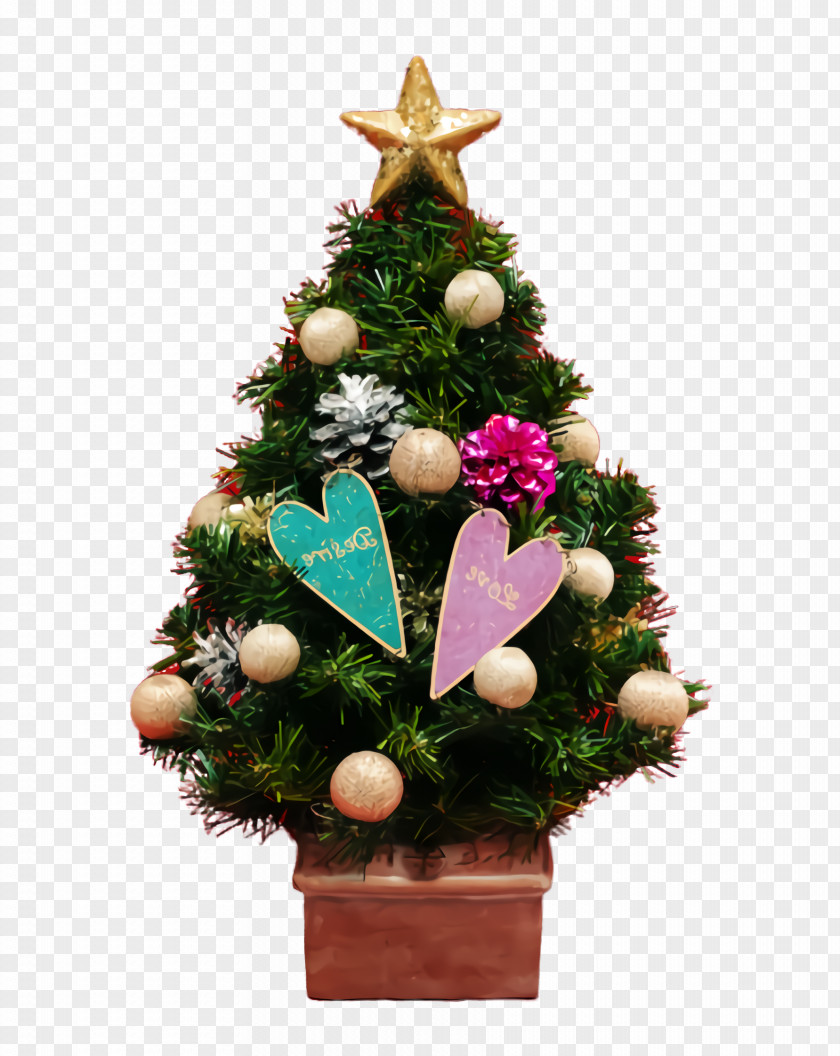 Fir Plant Christmas Tree PNG