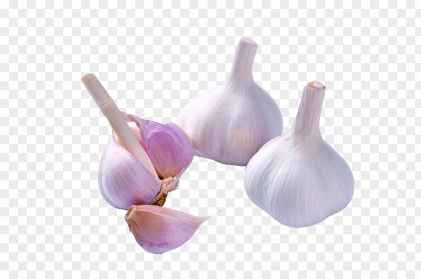 Garlic PNG